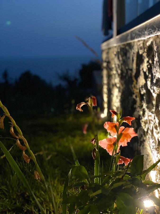 Summer Wine Boutique Hotel Dhërmi Eksteriør bilde